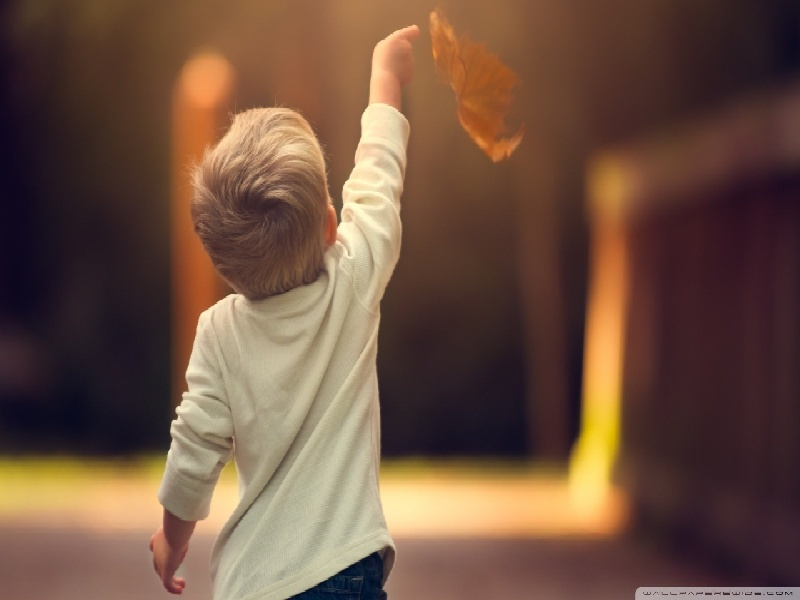 试管失败花钱么（柬埔寨移植试管成功）——