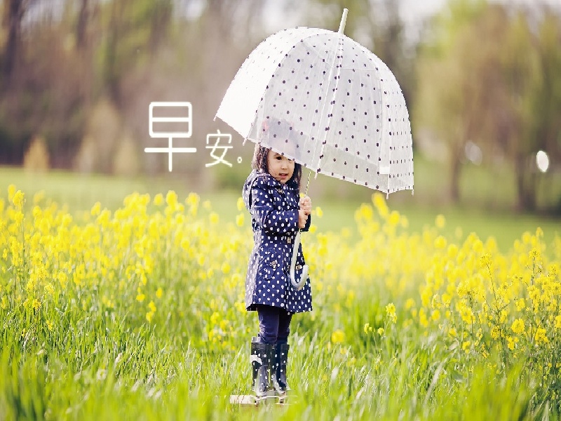 成都哪可以代怀,成都试管梅毒多久可以做（3小孩到泰国费用多少）