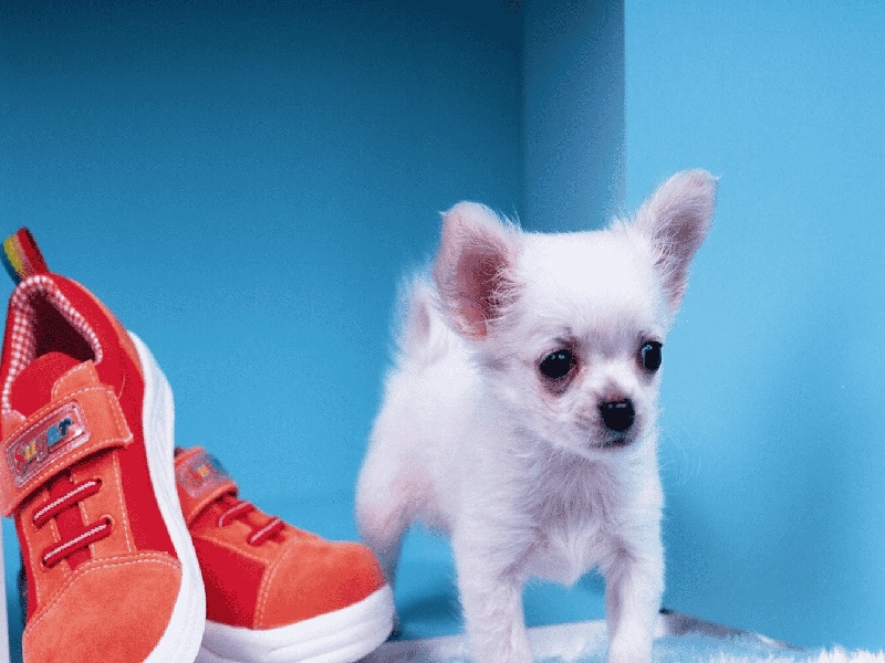 成都三代供卵例子,山东临沂做试管婴儿成功率最高的医院是哪里？如何选-成都